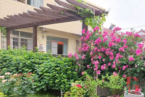 Residential WPC pergola is ideal for small areas or garden accents, offering greenery and shade for apartment residents.