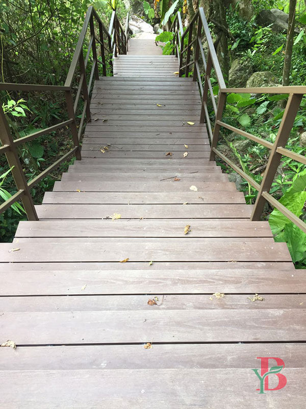Downward view of outdoor composite decking stairs with safety handrails in a forest setting.