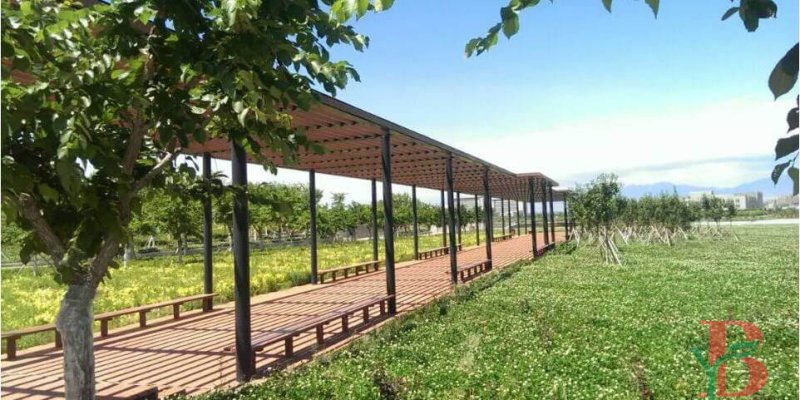 Modern Minimalist pergola with sleek lines and geometric shapes.