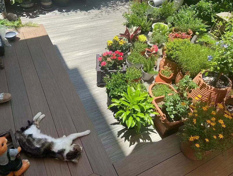 A cat lounging on a low-maintenance capped composite deck surrounded by potted garden plants