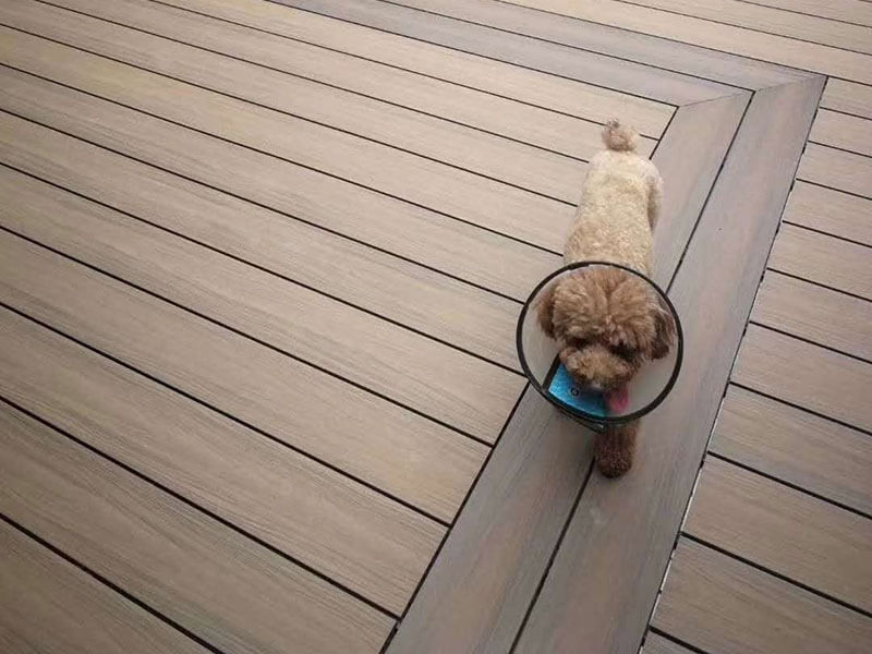 A small dog walking on durable, scratch-resistant capped composite deck boards